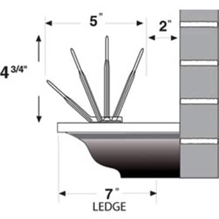 Bird-B-Gone Polycarbonate Bird Spikes, 50'L x 5"W GPL2000-5CLR-50